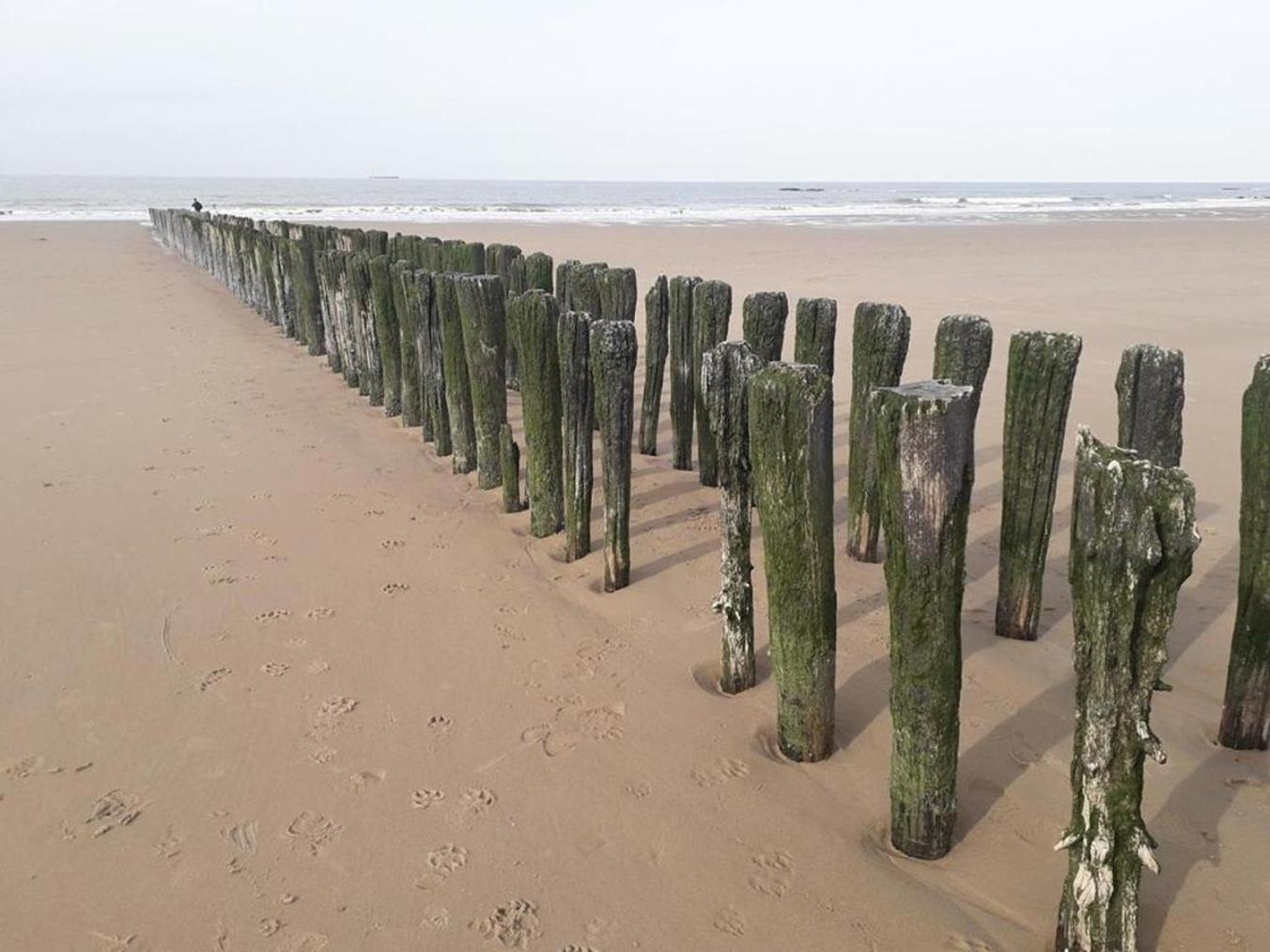 Maison Noomi Knokke-Heist Bagian luar foto
